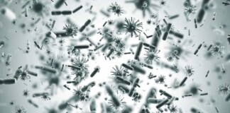 Давні бактерії виявилися здатними поглинати вуглекислий газ