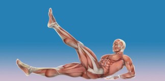 качати нижній прес