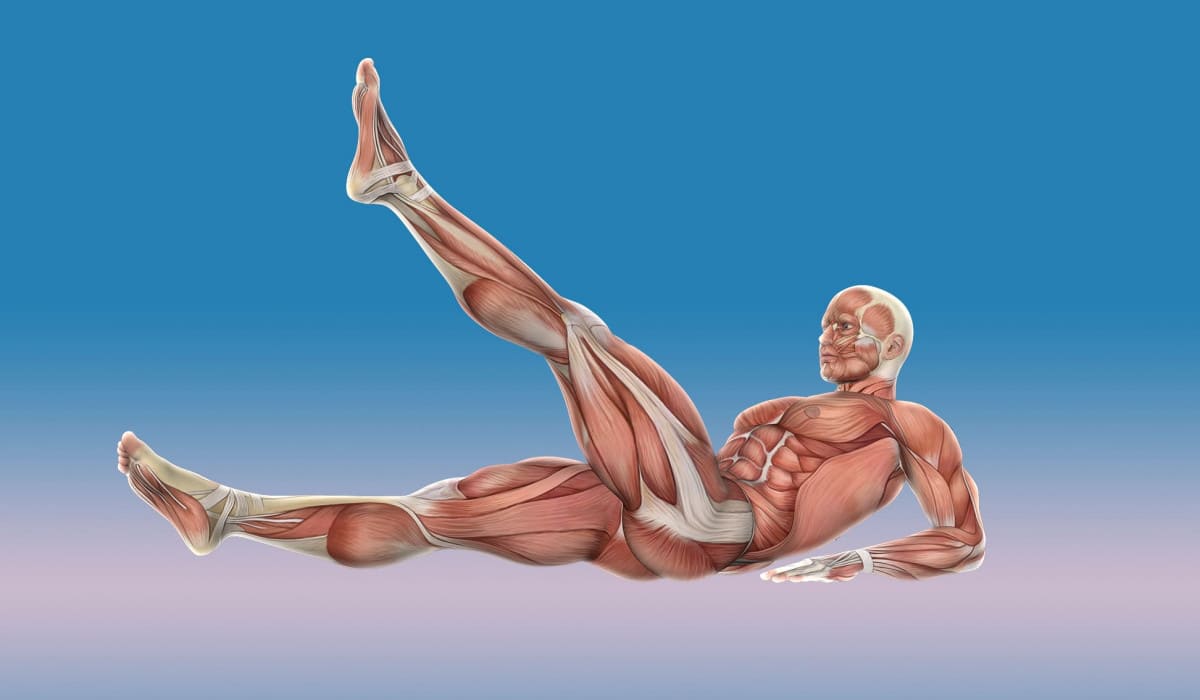 качати нижній прес качати нижній прес