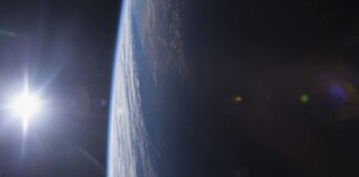 Названо час появи перших теплокровних тварин на Землі Космос