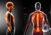 Правильна постава – характеристики. Вправи для виправлення постави Правильна постава