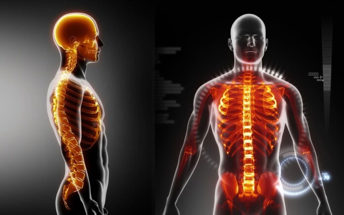 Правильна постава Правильна постава
