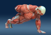 Віджимання на одній руці