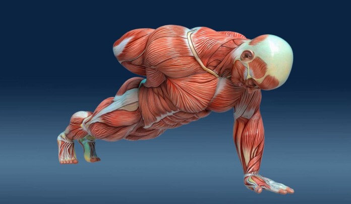 Віджимання на одній руці