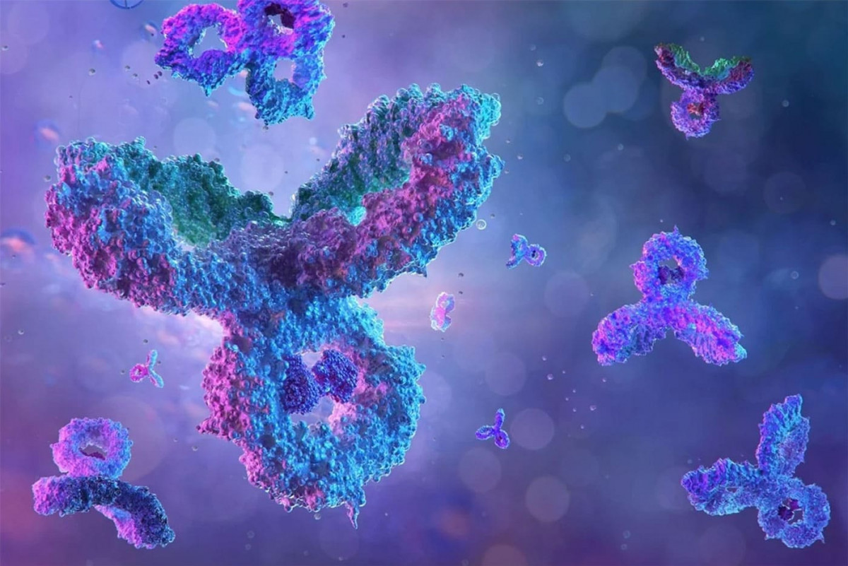 Харчові алергії