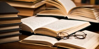 Сидить голуб на березі – Маруся Чурай книга