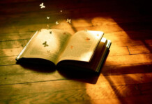 Стелися, стелися, зелений горшку – Маруся Чурай книга