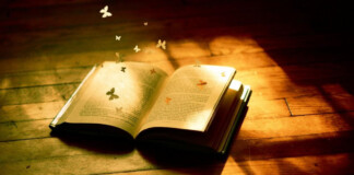 Стелися, стелися, зелений горшку – Маруся Чурай книга