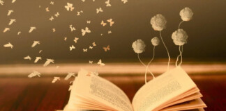 Чого ж вода каламутна – Маруся Чурай книга