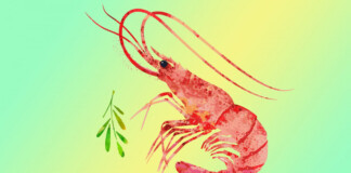 морепродукти