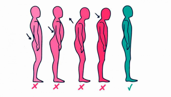 осанка осанка