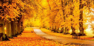 Куди поїхати восени до Європи: 10 найкращих місць для подорожей та відпочинку осінь