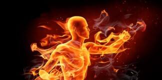 жироспалювач