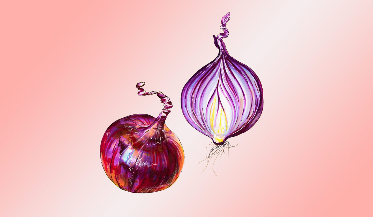 цибуля цибуля