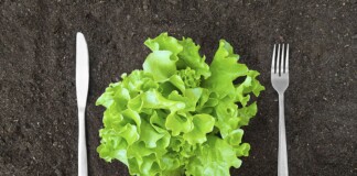 Глікемічний індекс