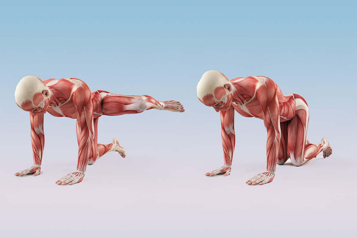 Найефективніша вправа на прес