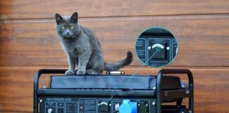 Як правильно підключити електростанцію (генератор) до будинку?