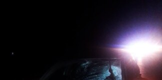 У ДТП на Сарненщині загинула пішохідка