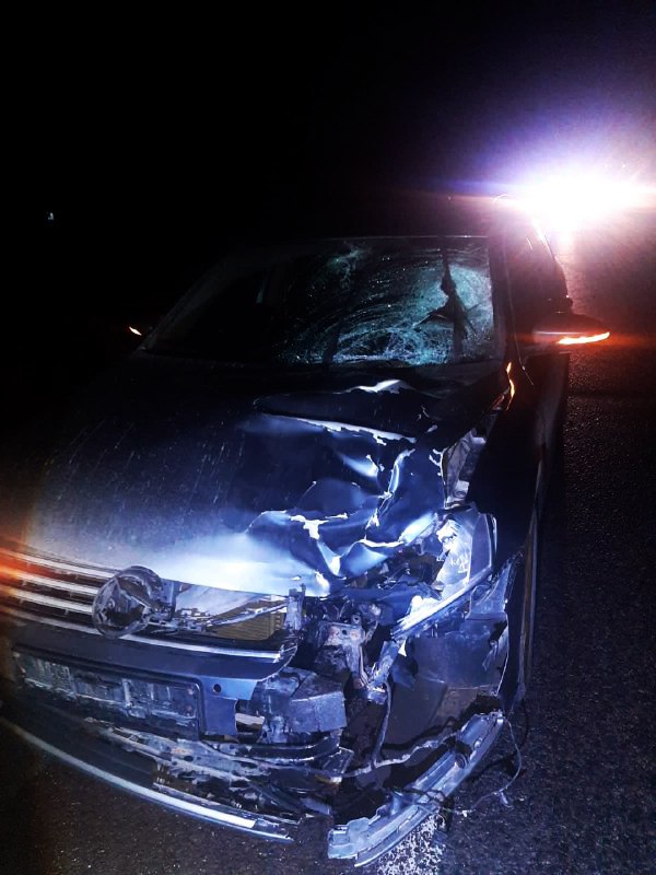 У ДТП на Сарненщині загинула пішохідка