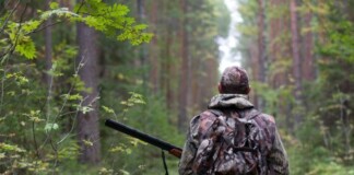 Лісівники Рівненщини передали для ЗСУ допомогу на суму 40 мільйонів гривень