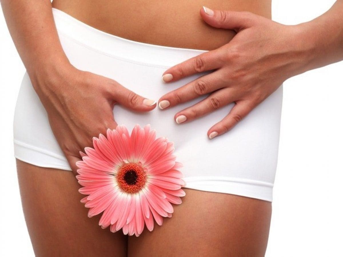 гінекологія гінекологія