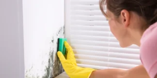 Простий лайфхак: як позбутися плісняви в будинку