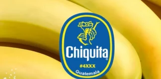 Придивіться: корисна інформація, яку приховують наклейки на бананах