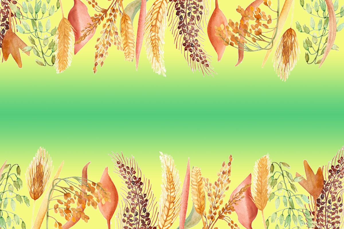 Каші з низьким глікемічним індексом