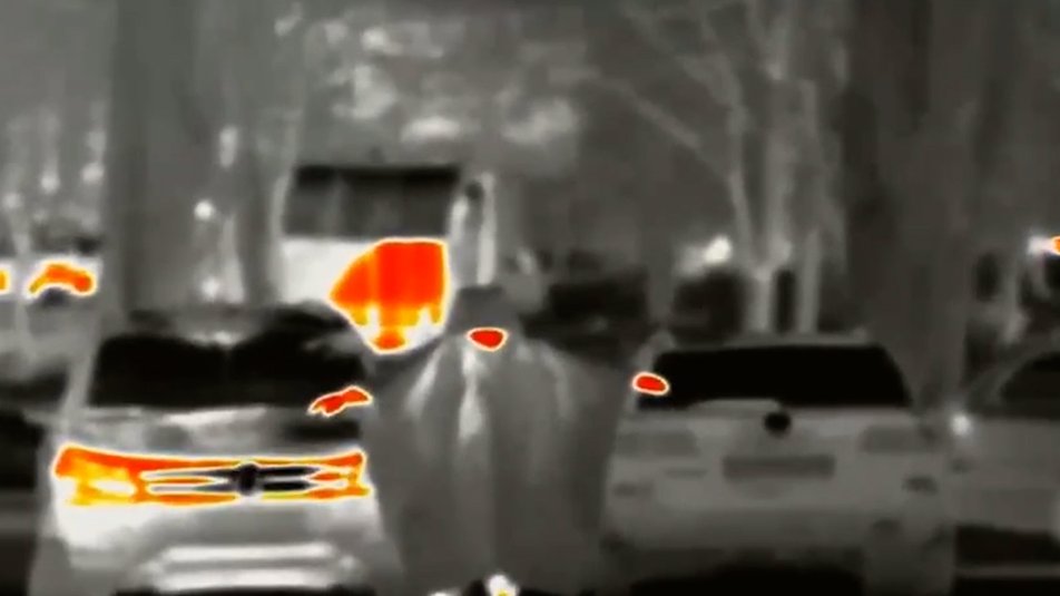 проєкт ПРИВИД