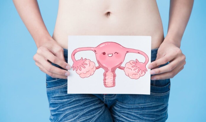 Гінекологія гінекологія