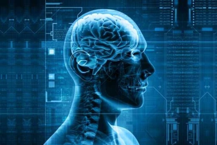 мозок мозок