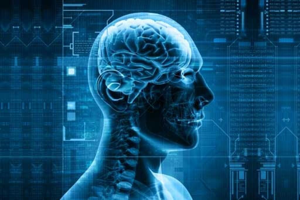 мозок мозок