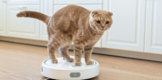 робот-пилосос