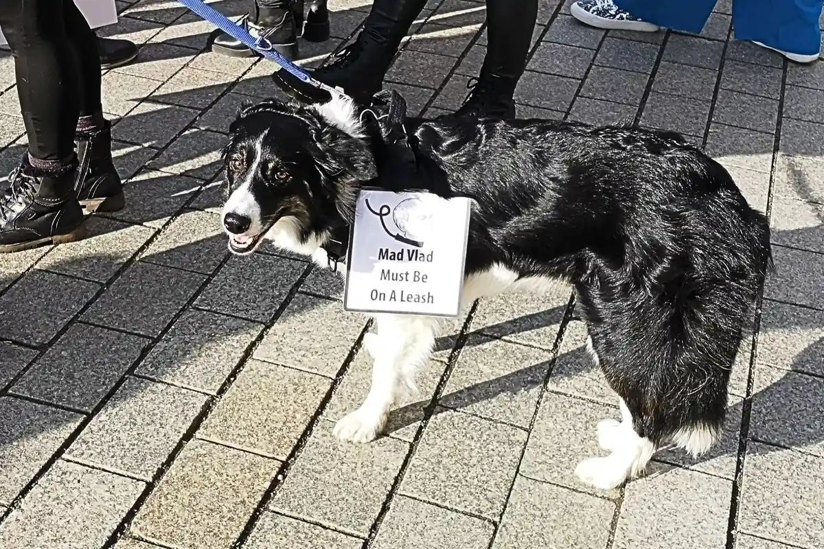 Акції у Берліні