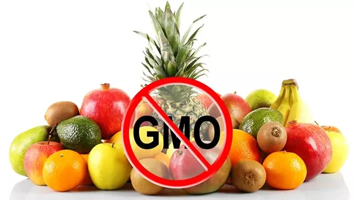 gmo гмо