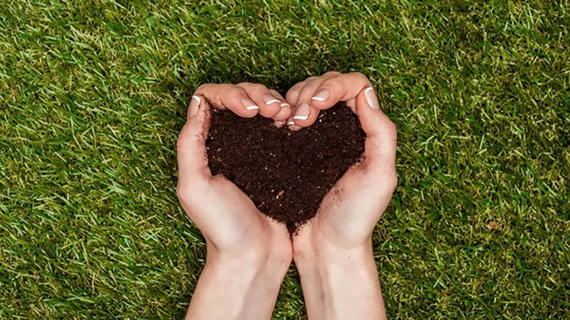 Що входить до складу ґрунту і якими вони бувають грунт