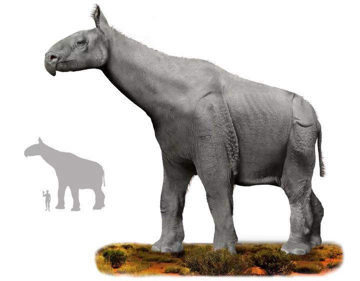 Парацератерій