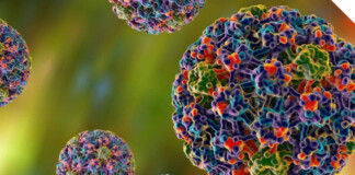 ВПЛ (Вірус папіломи людини)