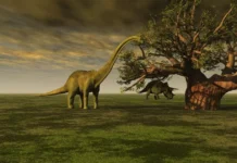 Вимерлі тварини