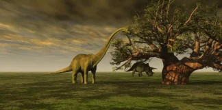 Вимерлі тварини