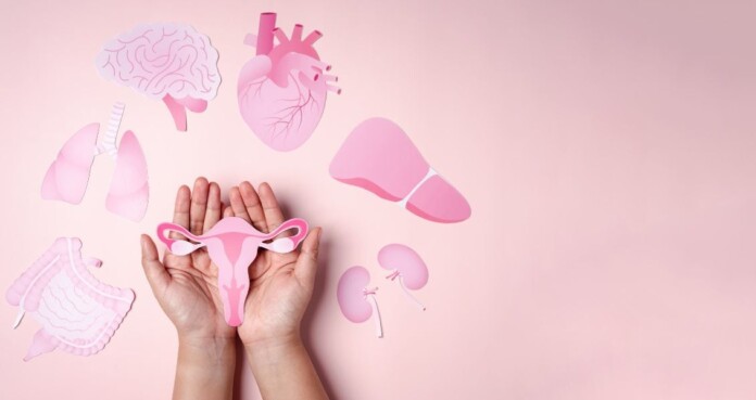 жіноче жіноче