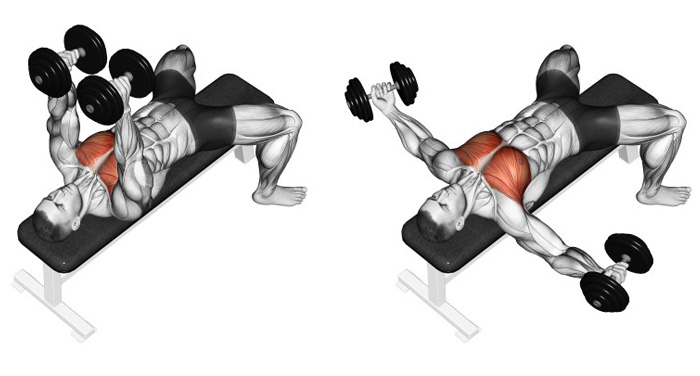 розведення гантелей лежачи