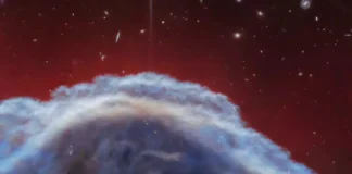 Туманність Кінська Голова