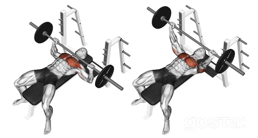 жим штанги лежачи