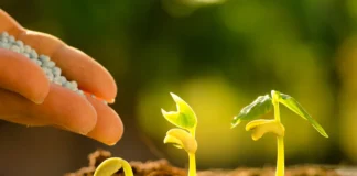 Мікродобрива