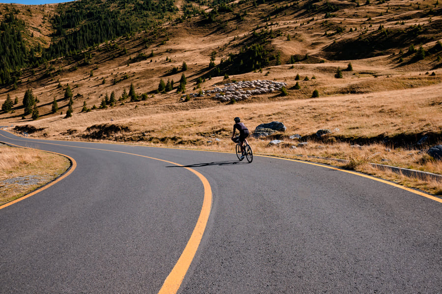 Лаель Уїлкокс