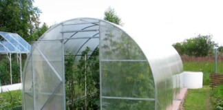 професійні теплиці