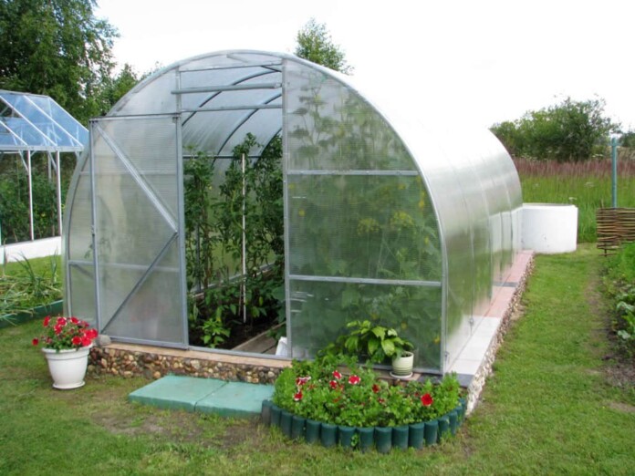 професійні теплиці професійні теплиці