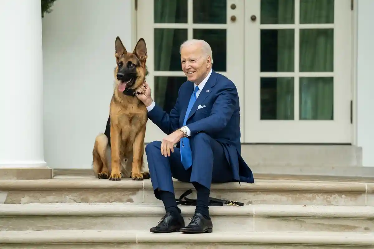 Президент США Джо Байден та його німецька вівчарка "Коммандер". President Joe Biden/APA Images via ZUMA Press Wire/dpa