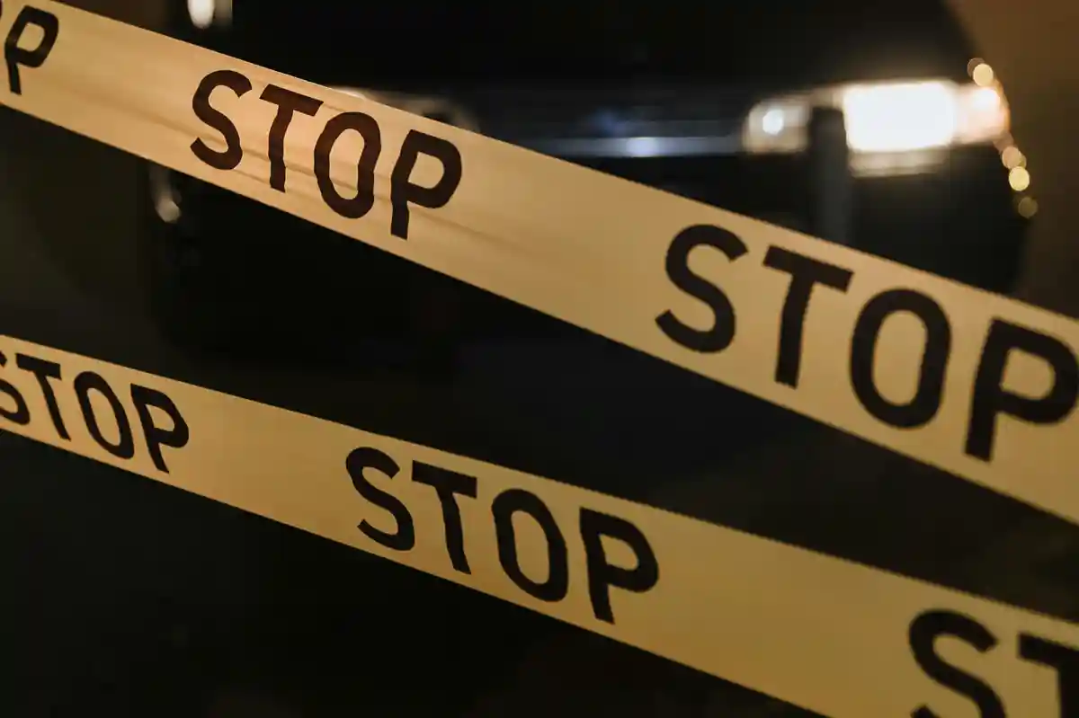 Фото: cottonbro studio / pexels.com